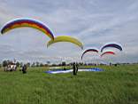 IMG_4564.jpg
